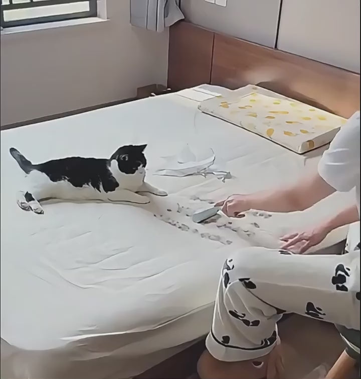 Static Pet Hair Removal Gloves - 3-in-1 Grooming & Cleaning