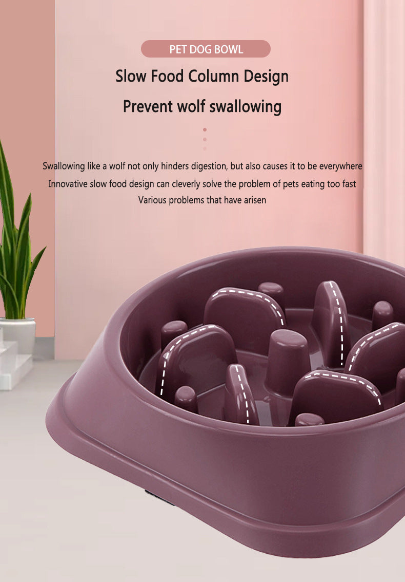 Slow Feed Dog Bowl - Prevent Choking & Bloating